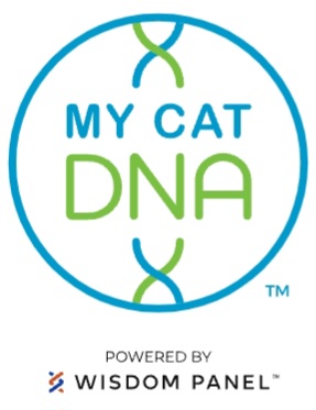 Materiál My Cat DNA k testům koček